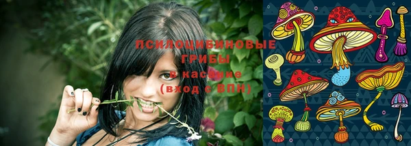 ALPHA PVP Нязепетровск