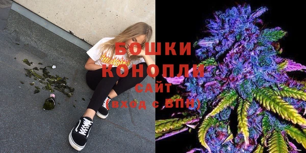 ALPHA PVP Няндома