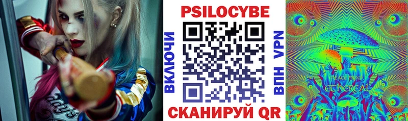 Псилоцибиновые грибы Magic Shrooms  Купить где  Кызыл 